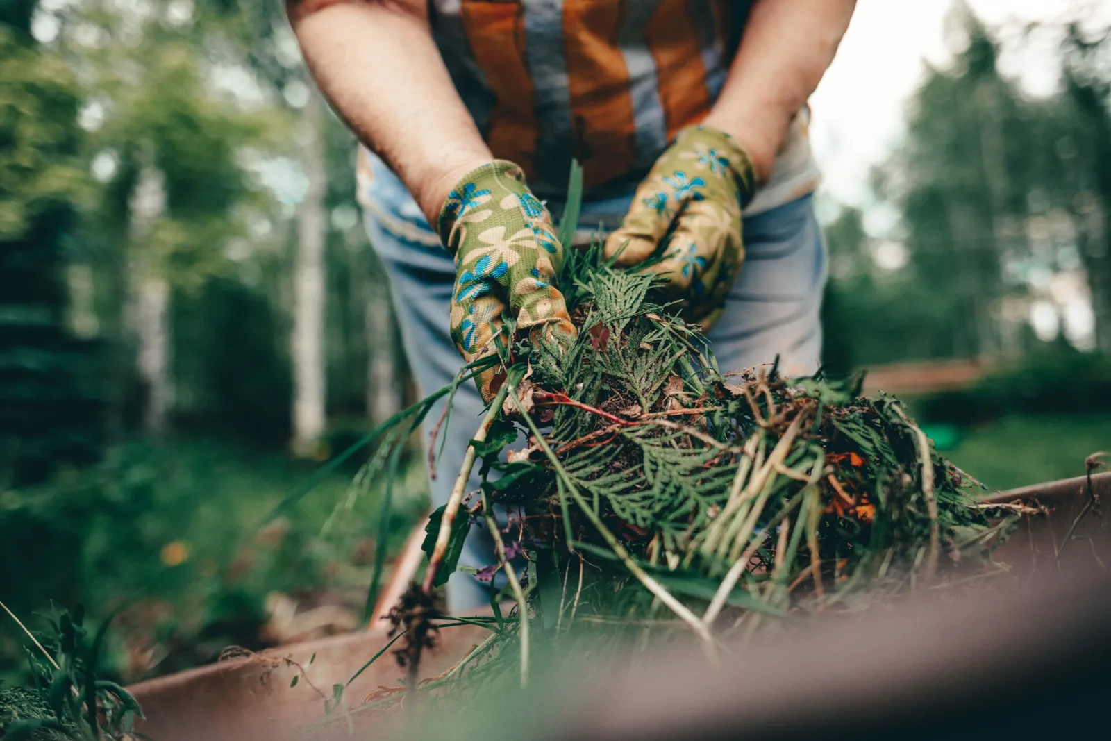 Gepflegte Außenanlage nach der Gartenpflege